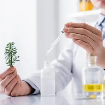 Kosmetiske ingredienser