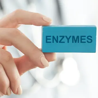 Enzymer