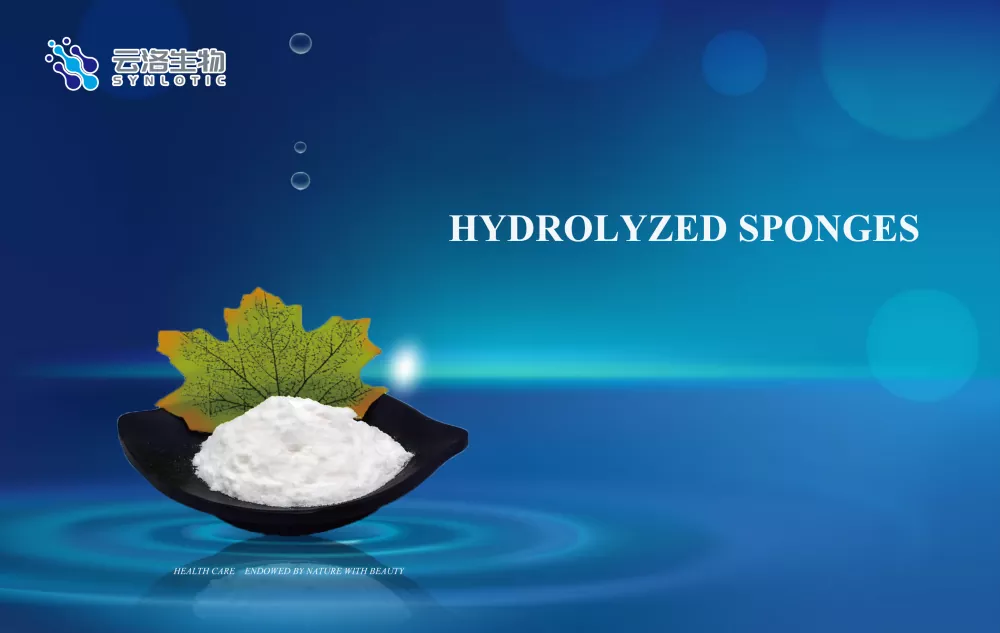 Hydrolyserte svamper
